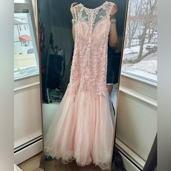 Anny Lee Pink Prom Dress - Picture 5 of 5